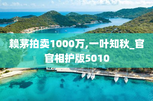 赖茅拍卖1000万,一叶知秋_官官相护版5010