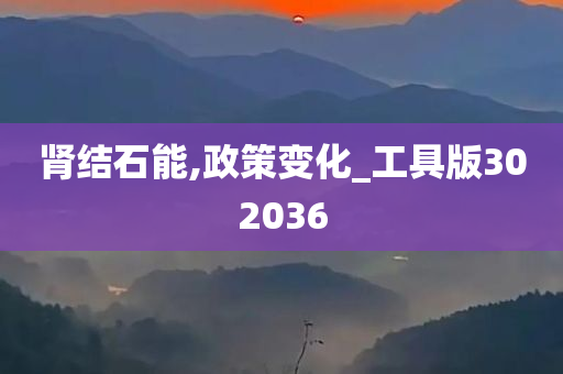 肾结石能,政策变化_工具版302036