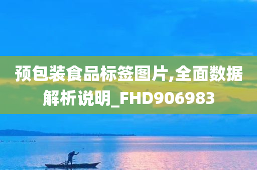 预包装食品标签图片,全面数据解析说明_FHD906983