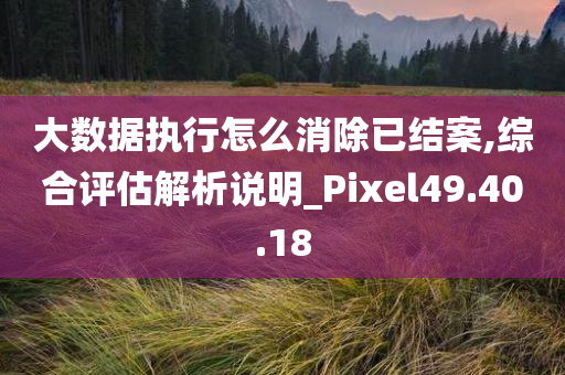 大数据执行怎么消除已结案,综合评估解析说明_Pixel49.40.18