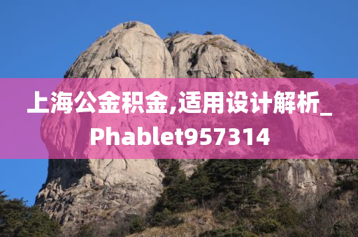 上海公金积金,适用设计解析_Phablet957314