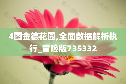 4图金德花园,全面数据解析执行_冒险版735332