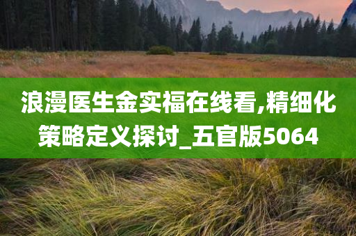 浪漫医生金实福在线看,精细化策略定义探讨_五官版5064