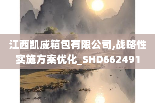 江西凯威箱包有限公司,战略性实施方案优化_SHD662491