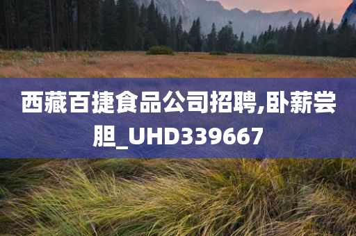 西藏百捷食品公司招聘,卧薪尝胆_UHD339667