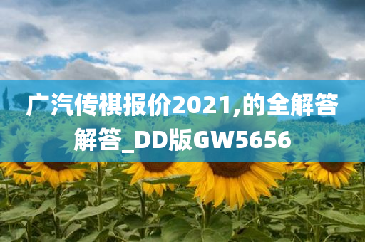 广汽传祺报价2021,的全解答解答_DD版GW5656