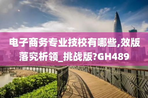 电子商务专业技校有哪些,效版落究析领_挑战版?GH489