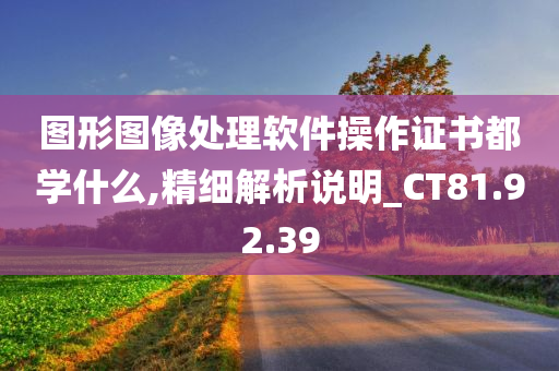 图形图像处理软件操作证书都学什么,精细解析说明_CT81.92.39