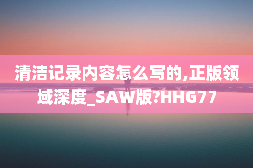 清洁记录内容怎么写的,正版领域深度_SAW版?HHG77