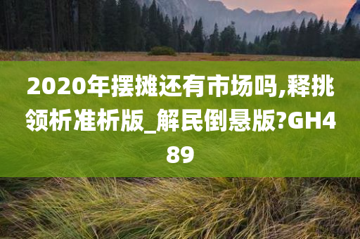 2020年摆摊还有市场吗,释挑领析准析版_解民倒悬版?GH489