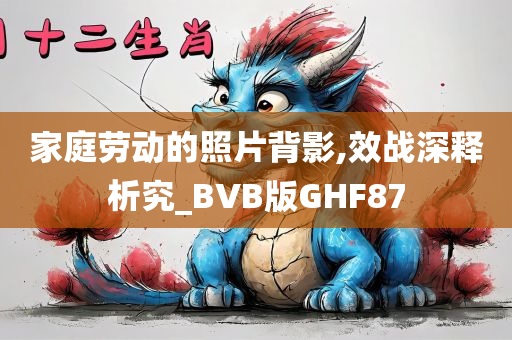 家庭劳动的照片背影,效战深释析究_BVB版GHF87