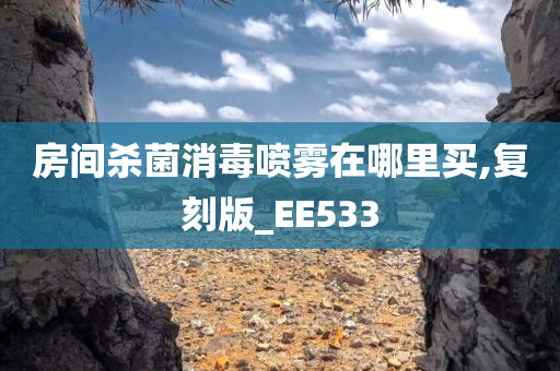 房间杀菌消毒喷雾在哪里买,复刻版_EE533