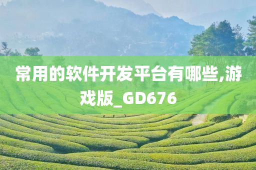 常用的软件开发平台有哪些,游戏版_GD676