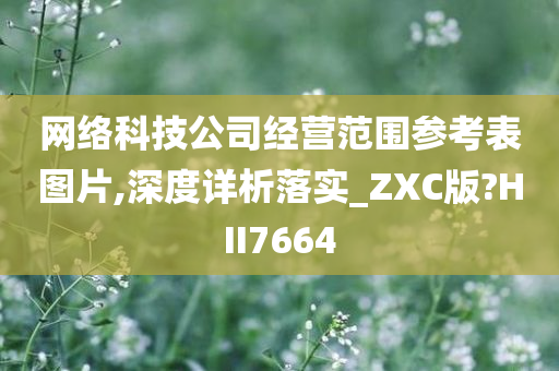 网络科技公司经营范围参考表图片,深度详析落实_ZXC版?HII7664