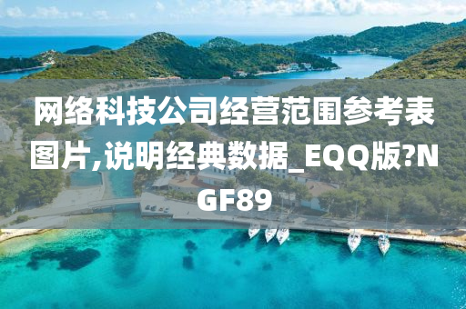 网络科技公司经营范围参考表图片,说明经典数据_EQQ版?NGF89