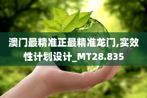 澳门最精准正最精准龙门,实效性计划设计_MT28.835