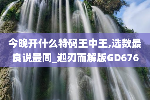 今晚开什么特码王中王,选数最良说最同_迎刃而解版GD676