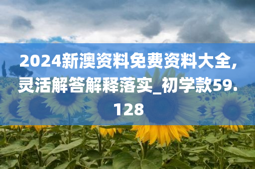 2024新澳资料免费资料大全,灵活解答解释落实_初学款59.128