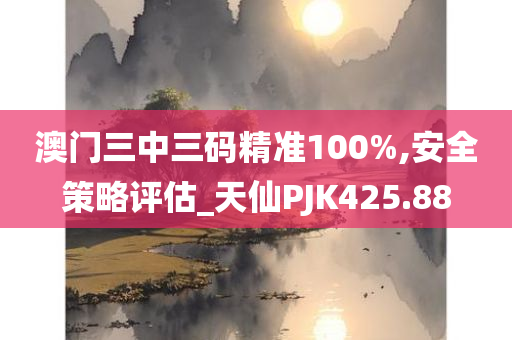 澳门三中三码精准100%,安全策略评估_天仙PJK425.88