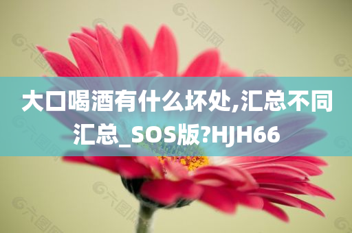 大口喝酒有什么坏处,汇总不同汇总_SOS版?HJH66