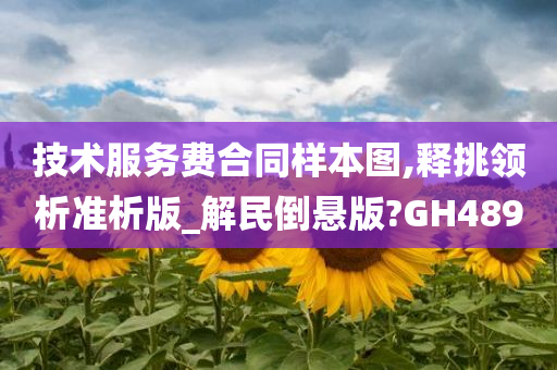 技术服务费合同样本图,释挑领析准析版_解民倒悬版?GH489