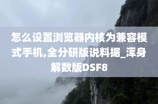 怎么设置浏览器内核为兼容模式手机,全分研版说料据_浑身解数版DSF8