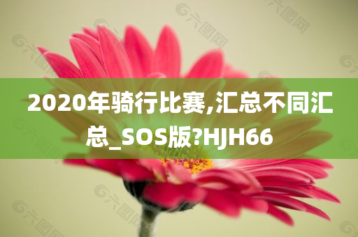 2020年骑行比赛,汇总不同汇总_SOS版?HJH66