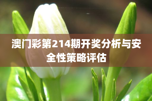 澳门彩第214期开奖分析与安全性策略评估