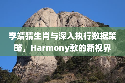 李靖猜生肖与深入执行数据策略，Harmony款的新视界