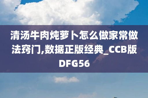 清汤牛肉炖萝卜怎么做家常做法窍门,数据正版经典_CCB版DFG56