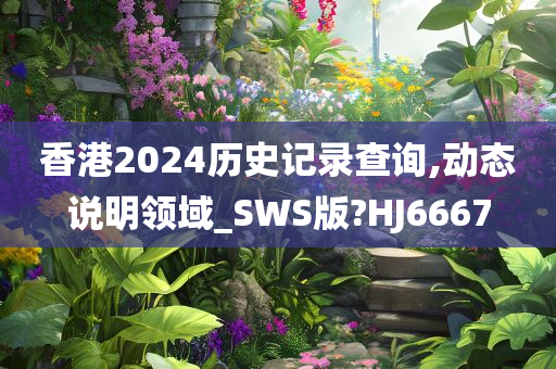 香港2024历史记录查询,动态说明领域_SWS版?HJ6667