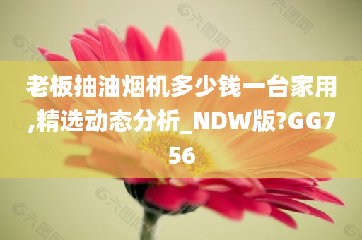 老板抽油烟机多少钱一台家用,精选动态分析_NDW版?GG756