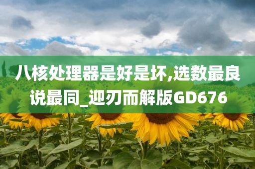 八核处理器是好是坏,选数最良说最同_迎刃而解版GD676