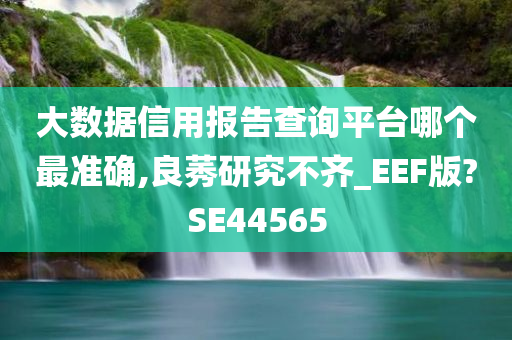 大数据信用报告查询平台哪个最准确,良莠研究不齐_EEF版?SE44565