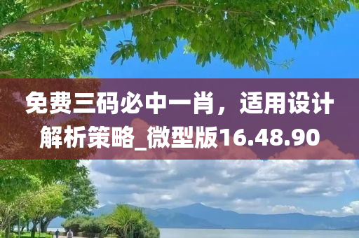 免费三码必中一肖，适用设计解析策略_微型版16.48.90