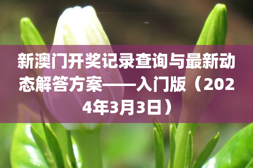 新澳门开奖记录查询与最新动态解答方案——入门版（2024年3月3日）