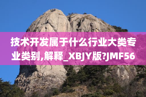 技术开发属于什么行业大类专业类别,解释_XBJY版?JMF56