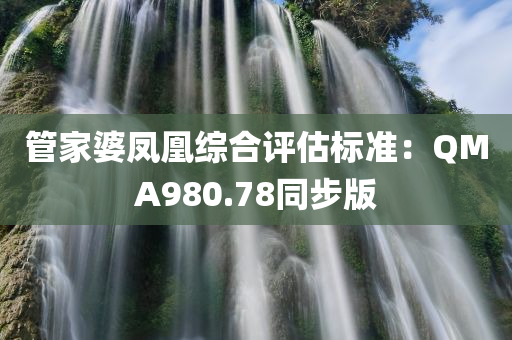 管家婆凤凰综合评估标准：QMA980.78同步版