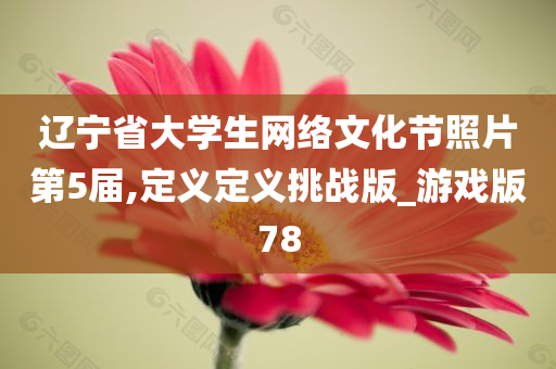 辽宁省大学生网络文化节照片第5届,定义定义挑战版_游戏版78