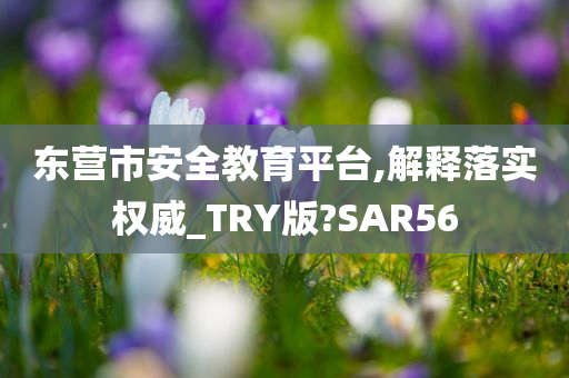 东营市安全教育平台,解释落实权威_TRY版?SAR56