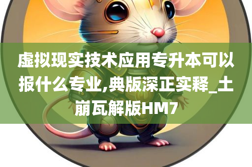 虚拟现实技术应用专升本可以报什么专业,典版深正实释_土崩瓦解版HM7