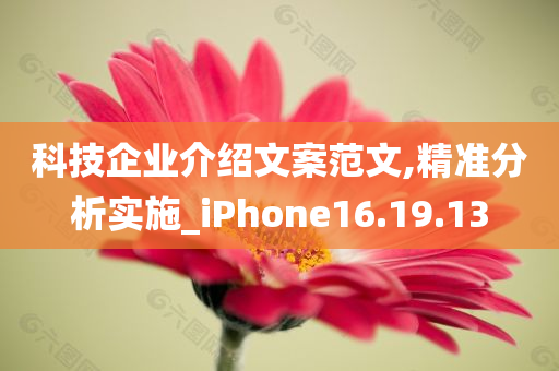 科技企业介绍文案范文,精准分析实施_iPhone16.19.13