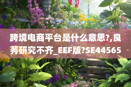 跨境电商平台是什么意思?,良莠研究不齐_EEF版?SE44565