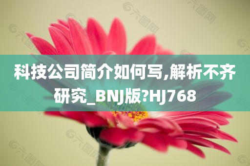 科技公司简介如何写,解析不齐研究_BNJ版?HJ768