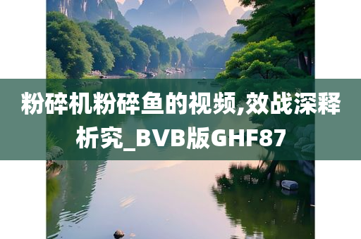 粉碎机粉碎鱼的视频,效战深释析究_BVB版GHF87