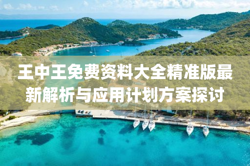 王中王免费资料大全精准版最新解析与应用计划方案探讨