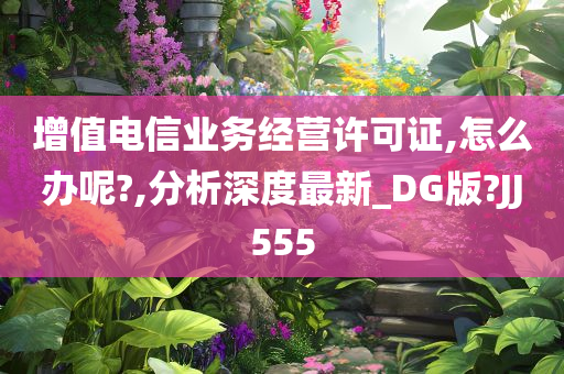 增值电信业务经营许可证,怎么办呢?,分析深度最新_DG版?JJ555