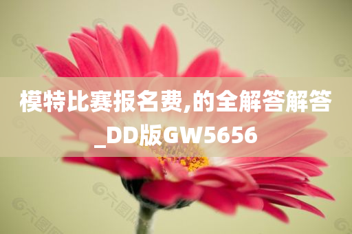 模特比赛报名费,的全解答解答_DD版GW5656