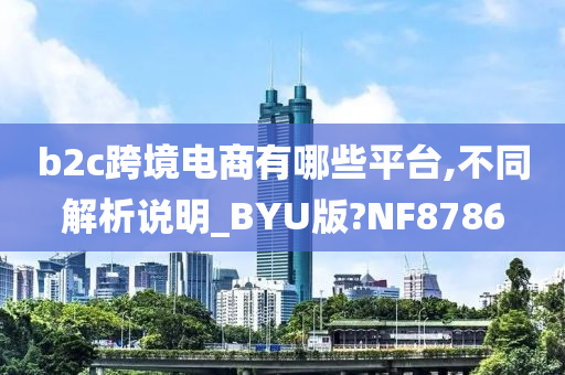 b2c跨境电商有哪些平台,不同解析说明_BYU版?NF8786