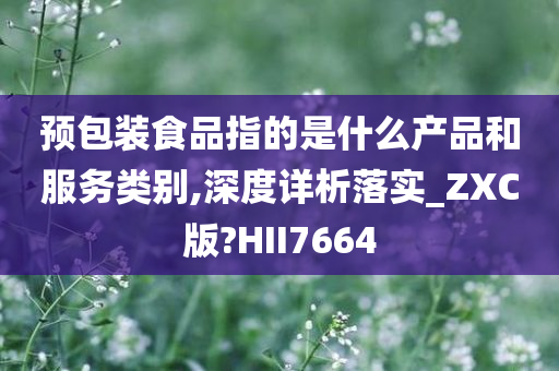 预包装食品指的是什么产品和服务类别,深度详析落实_ZXC版?HII7664